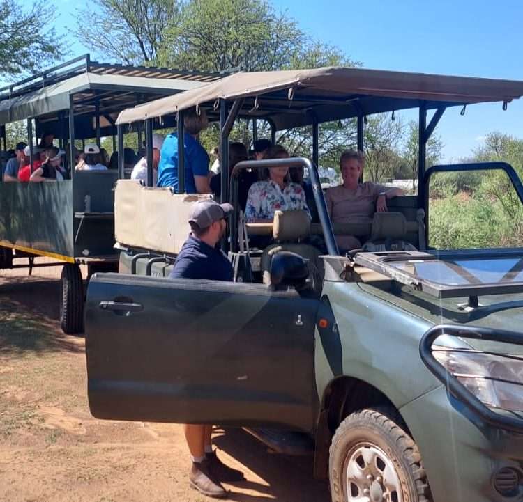 Game drive , animals, nature