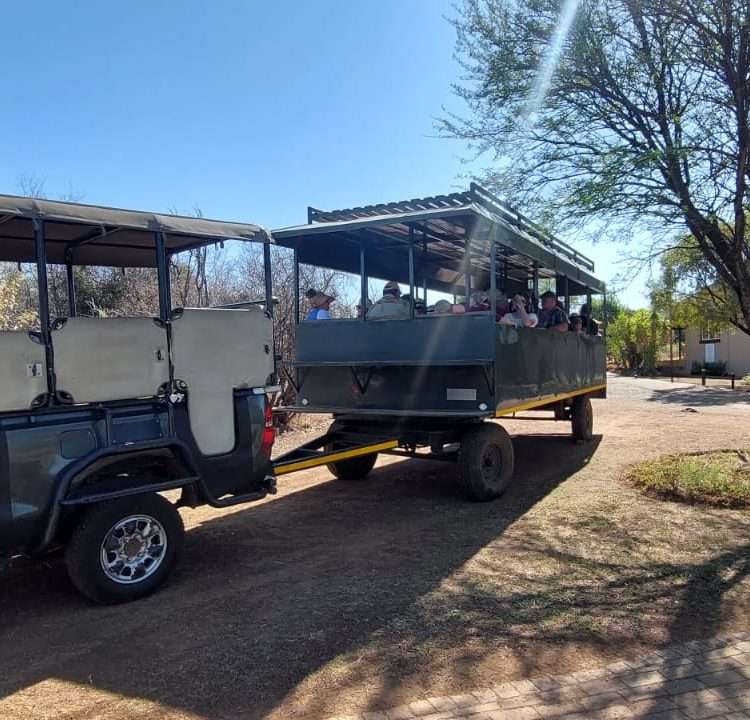 Game drive , animals, nature