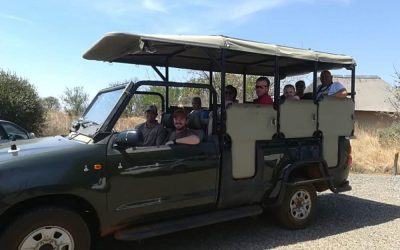 extraordinary wildlife tour